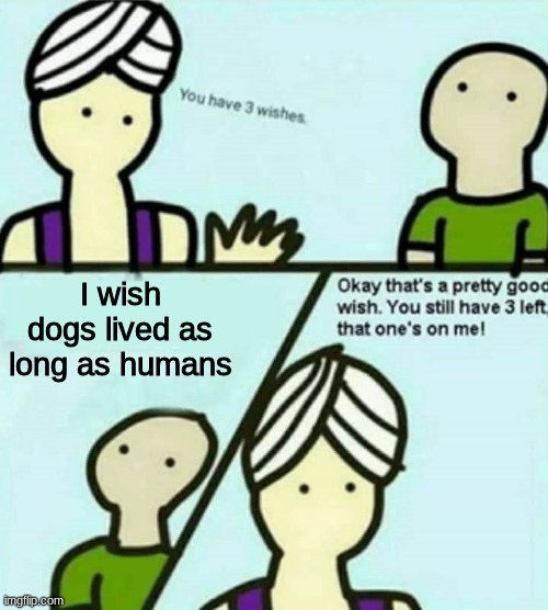 Ye | I wish dogs lived as long as humans | image tagged in you have 3 wishes | made w/ Imgflip meme maker