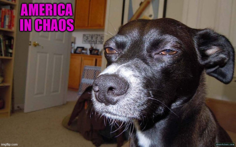 AMERICA IN CHAOS | made w/ Imgflip meme maker