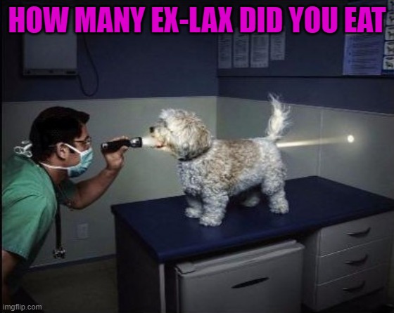 HOW MANY EX-LAX DID YOU EAT | made w/ Imgflip meme maker