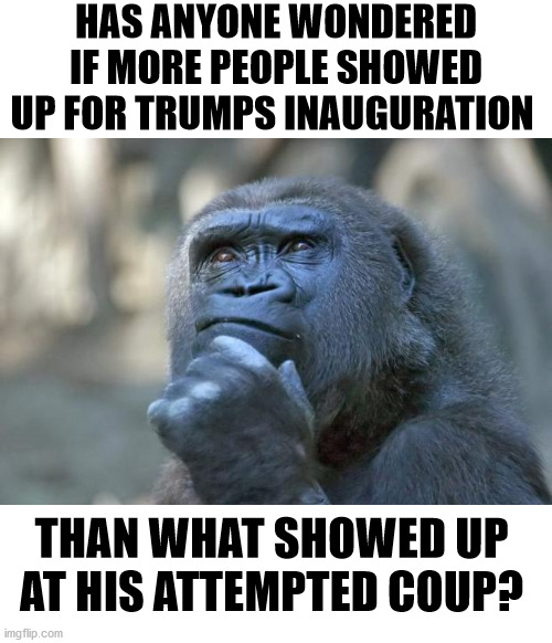 Inquiring minds want to know | HAS ANYONE WONDERED IF MORE PEOPLE SHOWED UP FOR TRUMPS INAUGURATION; THAN WHAT SHOWED UP AT HIS ATTEMPTED COUP? | image tagged in that is the question,trump inauguration,trump coup,trump supporters | made w/ Imgflip meme maker