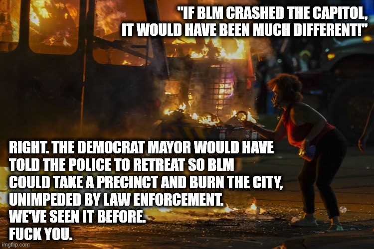 If it was BLM it would have been different | "IF BLM CRASHED THE CAPITOL, IT WOULD HAVE BEEN MUCH DIFFERENT!"; RIGHT. THE DEMOCRAT MAYOR WOULD HAVE
TOLD THE POLICE TO RETREAT SO BLM
COULD TAKE A PRECINCT AND BURN THE CITY,
UNIMPEDED BY LAW ENFORCEMENT.
WE'VE SEEN IT BEFORE.
FUCK YOU. | image tagged in injustice,trump,america,election 2020 | made w/ Imgflip meme maker