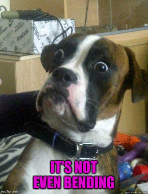 Dog Shocked | IT'S NOT EVEN BENDING | image tagged in dog shocked | made w/ Imgflip meme maker