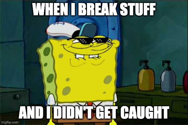 Me | WHEN I BREAK STUFF; AND I DIDN'T GET CAUGHT | image tagged in memes,don't you squidward | made w/ Imgflip meme maker