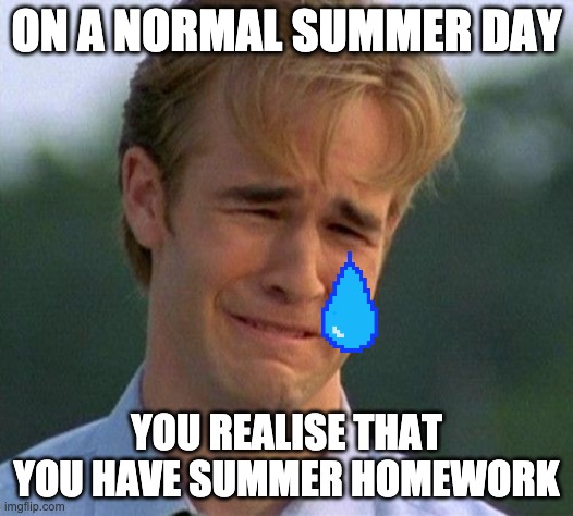 Relatable | ON A NORMAL SUMMER DAY; YOU REALISE THAT YOU HAVE SUMMER HOMEWORK | image tagged in memes,1990s first world problems | made w/ Imgflip meme maker