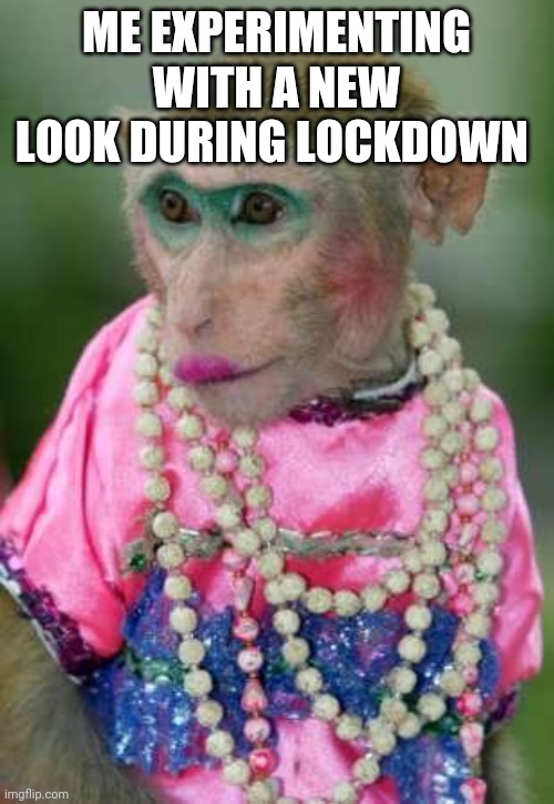 Lockdown Looks | ME EXPERIMENTING WITH A NEW LOOK DURING LOCKDOWN | image tagged in monkey make up | made w/ Imgflip meme maker