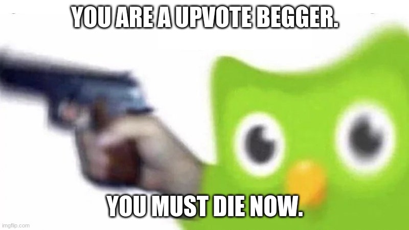 duolingo gun | YOU ARE A UPVOTE BEGGER. YOU MUST DIE NOW. | image tagged in duolingo gun | made w/ Imgflip meme maker
