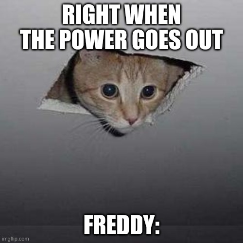 Ohno | RIGHT WHEN THE POWER GOES OUT; FREDDY: | image tagged in memes,ceiling cat | made w/ Imgflip meme maker