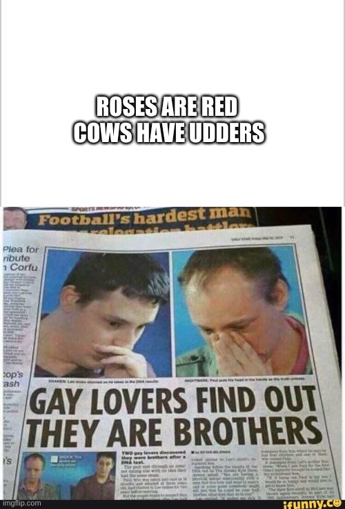 uoi | ROSES ARE RED 
COWS HAVE UDDERS | image tagged in white background | made w/ Imgflip meme maker