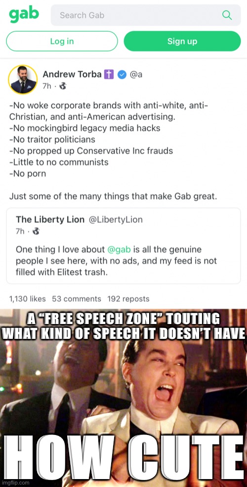 More evidence that “free speech zone” Gab isn’t about free speech, but making a fascist-friendly bubble | A “FREE SPEECH ZONE” TOUTING WHAT KIND OF SPEECH IT DOESN’T HAVE; HOW CUTE | image tagged in gab andrew torba,memes,good fellas hilarious,social media,free speech,freedom of speech | made w/ Imgflip meme maker