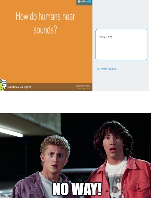 With our EARS! | NO WAY! | image tagged in blank white template,bill and ted | made w/ Imgflip meme maker
