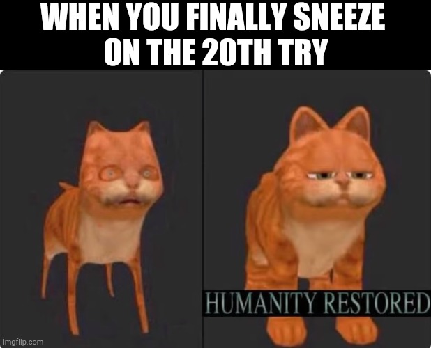 Humanity restored |  WHEN YOU FINALLY SNEEZE 
ON THE 20TH TRY | image tagged in humanity restored | made w/ Imgflip meme maker