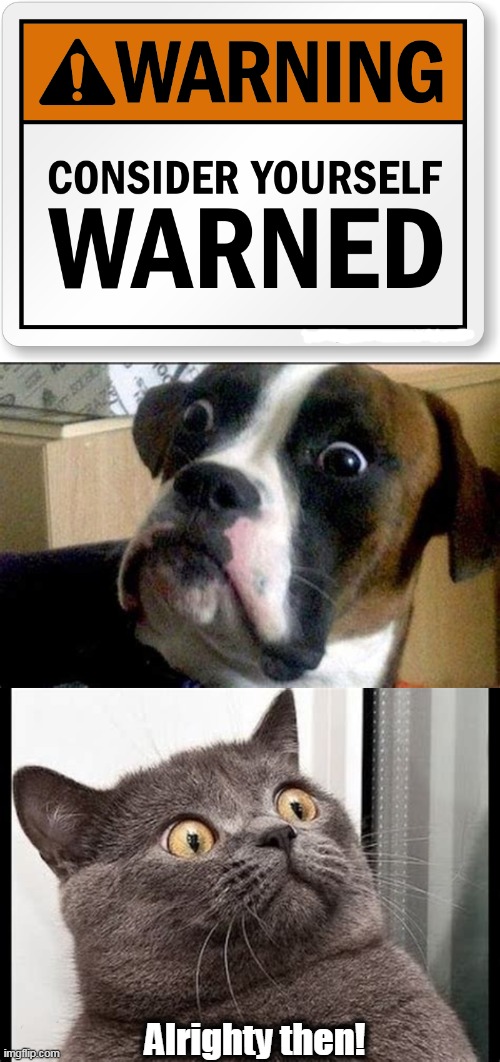 My Shocked Face | Alrighty then! | image tagged in fun,cute dog,cute cat,shocked face,warning sign | made w/ Imgflip meme maker