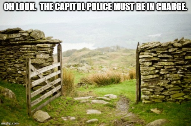 open gate | OH LOOK.  THE CAPITOL POLICE MUST BE IN CHARGE. | image tagged in open gate | made w/ Imgflip meme maker