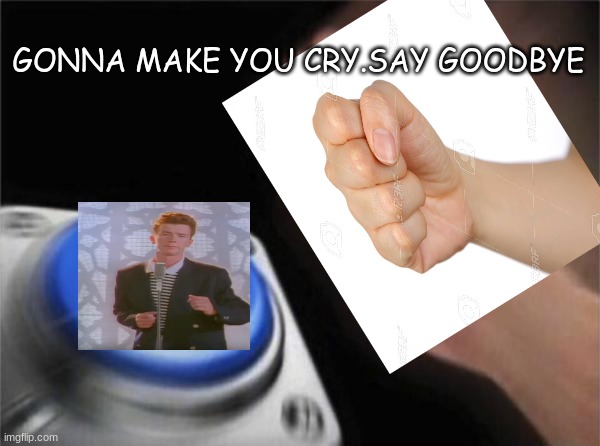 i'm gonna make him cry.say goodbye | GONNA MAKE YOU CRY.SAY GOODBYE | image tagged in memes,blank nut button,rick rolled,funny | made w/ Imgflip meme maker