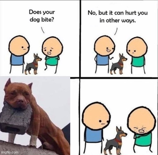 does your dog bite | image tagged in does your dog bite | made w/ Imgflip meme maker