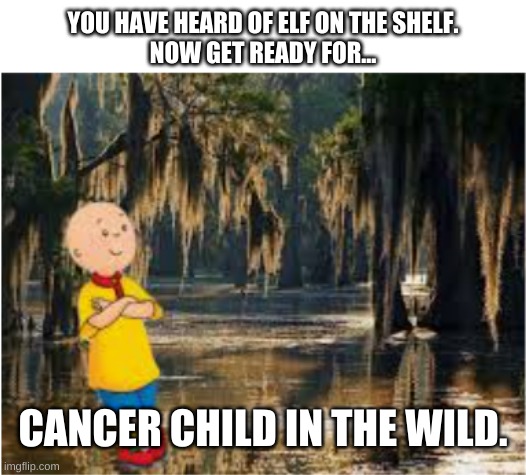 YOU HAVE HEARD OF ELF ON THE SHELF.
NOW GET READY FOR... CANCER CHILD IN THE WILD. | image tagged in white background | made w/ Imgflip meme maker