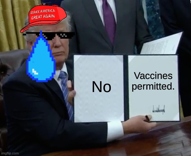 Trump Bill Signing | No; Vaccines permitted. | image tagged in memes,trump bill signing | made w/ Imgflip meme maker