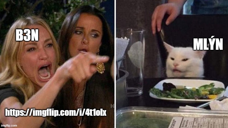 Woman yelling at white cat | B3N; MLÝN; https://imgflip.com/i/4t1olx | image tagged in woman yelling at white cat | made w/ Imgflip meme maker