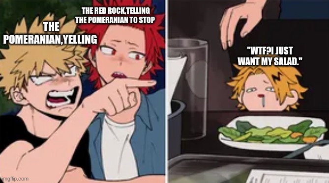 Why did I do this? :P | THE RED ROCK,TELLING THE POMERANIAN TO STOP; THE POMERANIAN,YELLING; "WTF?I JUST WANT MY SALAD." | image tagged in my hero academia,bakugo,yelling,meme | made w/ Imgflip meme maker