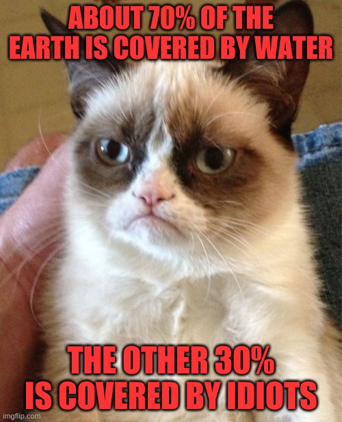 Grumpy cat is sadly right | ABOUT 70% OF THE EARTH IS COVERED BY WATER; THE OTHER 30% IS COVERED BY IDIOTS | image tagged in memes,grumpy cat | made w/ Imgflip meme maker