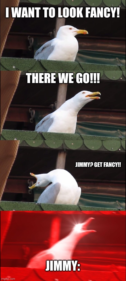 Inhaling Seagull | I WANT TO LOOK FANCY! THERE WE GO!!! JIMMY? GET FANCY!! JIMMY: | image tagged in memes,inhaling seagull | made w/ Imgflip meme maker