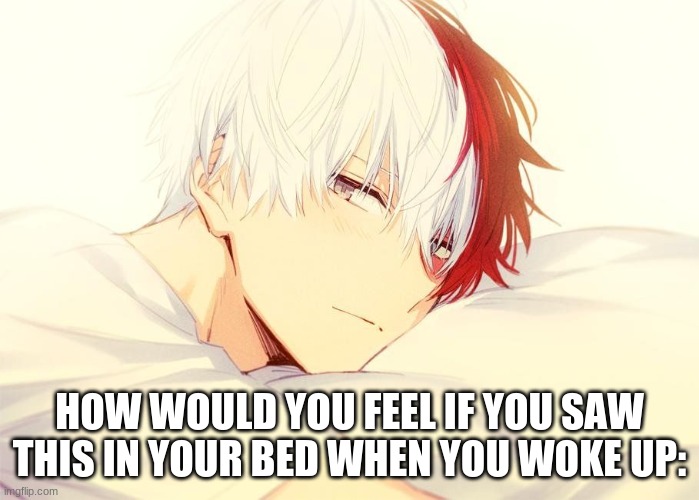 I would hug him :D | HOW WOULD YOU FEEL IF YOU SAW THIS IN YOUR BED WHEN YOU WOKE UP: | image tagged in todoroki,soft,boi | made w/ Imgflip meme maker