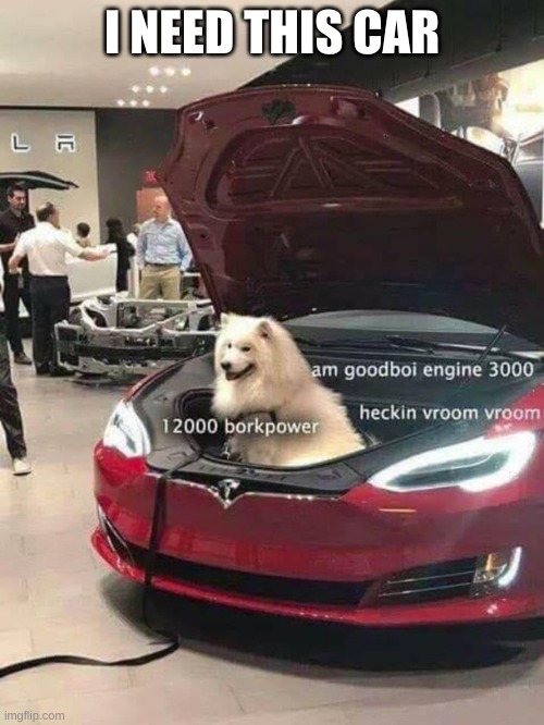 heckin scrrt scrrt | I NEED THIS CAR | image tagged in super,fast,goodboi | made w/ Imgflip meme maker