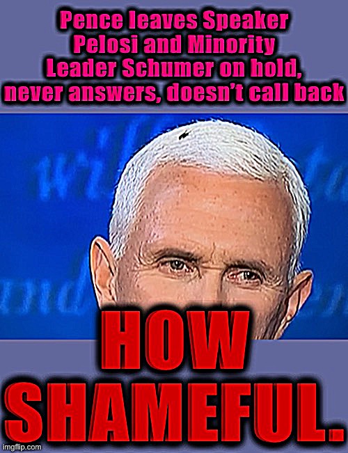 Pence at least did his constitutional duty to certify the election results, but whiffed on the immediate question of 25A | image tagged in mike pence,mike pence vp,constitution,nancy pelosi,chuck schumer | made w/ Imgflip meme maker