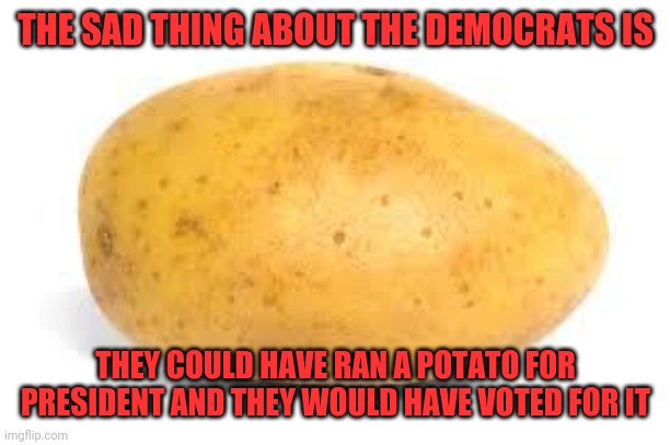 Potato | THE SAD THING ABOUT THE DEMOCRATS IS; THEY COULD HAVE RAN A POTATO FOR PRESIDENT AND THEY WOULD HAVE VOTED FOR IT | image tagged in potato | made w/ Imgflip meme maker
