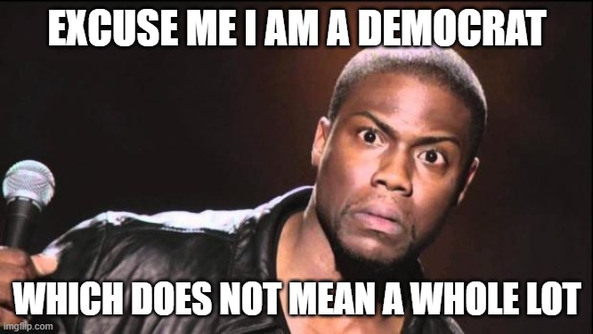 kevin heart idiot | EXCUSE ME I AM A DEMOCRAT; WHICH DOES NOT MEAN A WHOLE LOT | image tagged in kevin heart idiot | made w/ Imgflip meme maker