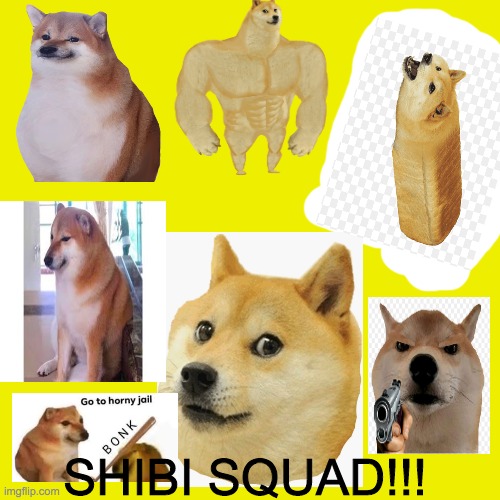 RESPECT THEM | SHIBI SQUAD!!! | image tagged in memes,blank transparent square | made w/ Imgflip meme maker