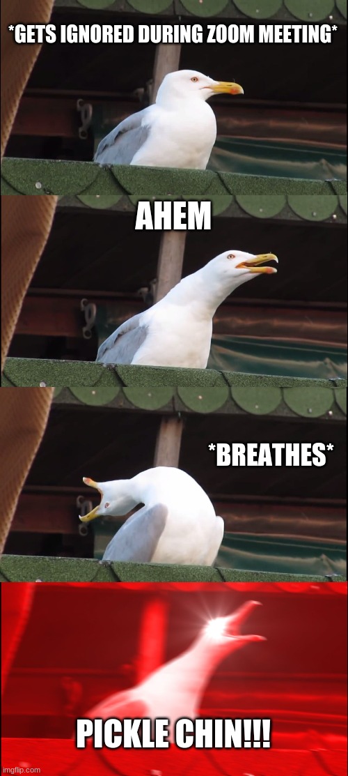Inhaling Seagull | *GETS IGNORED DURING ZOOM MEETING*; AHEM; *BREATHES*; PICKLE CHIN!!! | image tagged in memes,inhaling seagull | made w/ Imgflip meme maker