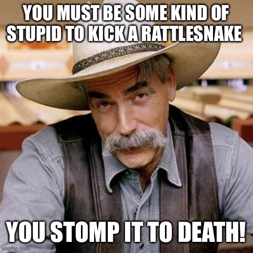 SARCASM COWBOY | YOU MUST BE SOME KIND OF STUPID TO KICK A RATTLESNAKE YOU STOMP IT TO DEATH! | image tagged in sarcasm cowboy | made w/ Imgflip meme maker