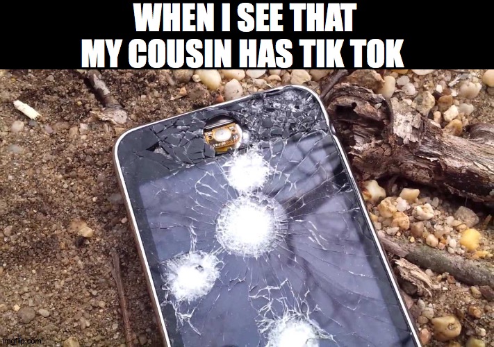 WHEN I SEE THAT MY COUSIN HAS TIK TOK | image tagged in no tik tok | made w/ Imgflip meme maker