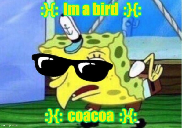 im a bird coacoa | :}{:  Im a bird  :}{:; :}{:  coacoa  :}{: | image tagged in memes,mocking spongebob | made w/ Imgflip meme maker