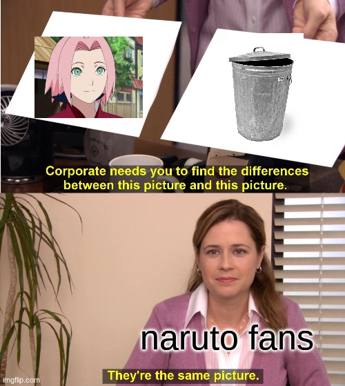 sAkUrA ChAn | naruto fans | image tagged in memes,they're the same picture | made w/ Imgflip meme maker