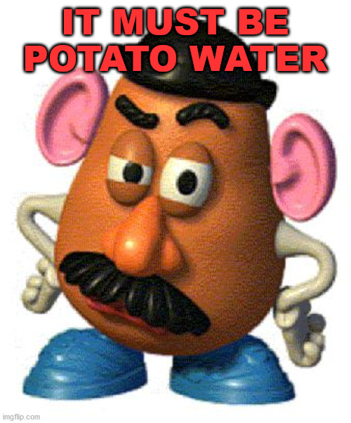 Mr Potato Head | IT MUST BE POTATO WATER | image tagged in mr potato head | made w/ Imgflip meme maker