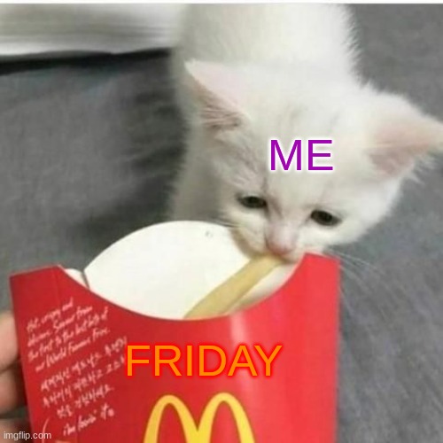 Fryday | ME; FRIDAY | image tagged in sad cat taking fry | made w/ Imgflip meme maker