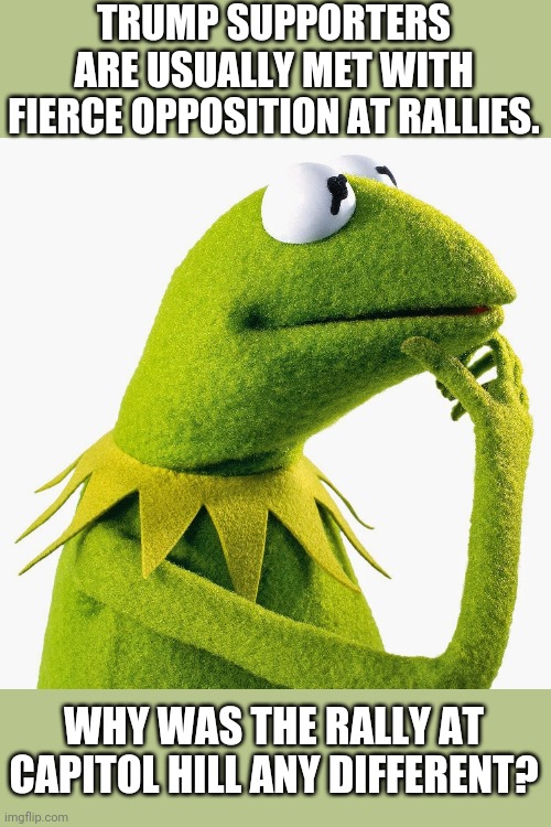 Not saying all the people who broke in were antifa/blm, but something is seriously off... | TRUMP SUPPORTERS ARE USUALLY MET WITH FIERCE OPPOSITION AT RALLIES. WHY WAS THE RALLY AT CAPITOL HILL ANY DIFFERENT? | image tagged in thinking kermit | made w/ Imgflip meme maker