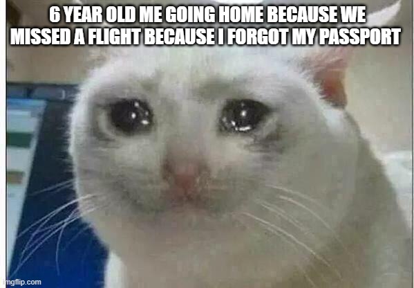 crying cat | 6 YEAR OLD ME GOING HOME BECAUSE WE MISSED A FLIGHT BECAUSE I FORGOT MY PASSPORT | image tagged in crying cat | made w/ Imgflip meme maker