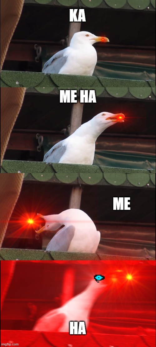Inhaling Seagull Meme | KA; ME HA; ME; HA | image tagged in memes,inhaling seagull | made w/ Imgflip meme maker