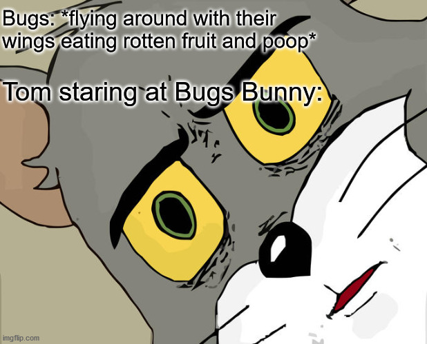 O_O I didn't know that was a delicacy for wabbits! | Bugs: *flying around with their wings eating rotten fruit and poop*; Tom staring at Bugs Bunny: | image tagged in memes,unsettled tom,bugs,bugs bunny,tom,poop | made w/ Imgflip meme maker