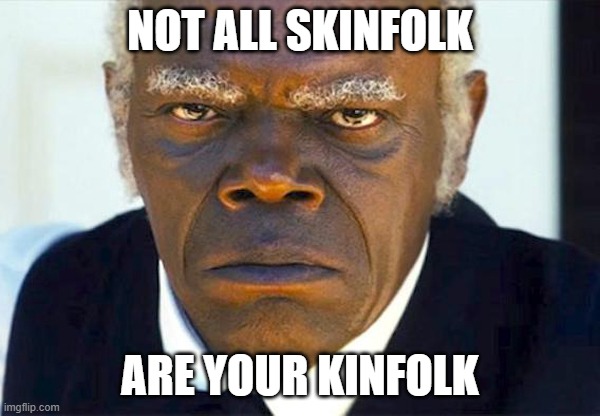 Sam Jackson - Django Stephen | NOT ALL SKINFOLK; ARE YOUR KINFOLK | image tagged in samuel l jackson django,django unchained | made w/ Imgflip meme maker