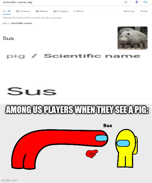 look it up for yourselves | AMONG US PLAYERS WHEN THEY SEE A PIG: | image tagged in among us sus,among us | made w/ Imgflip meme maker