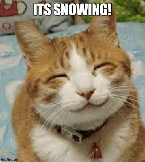 Happy cat | ITS SNOWING! | image tagged in happy cat | made w/ Imgflip meme maker