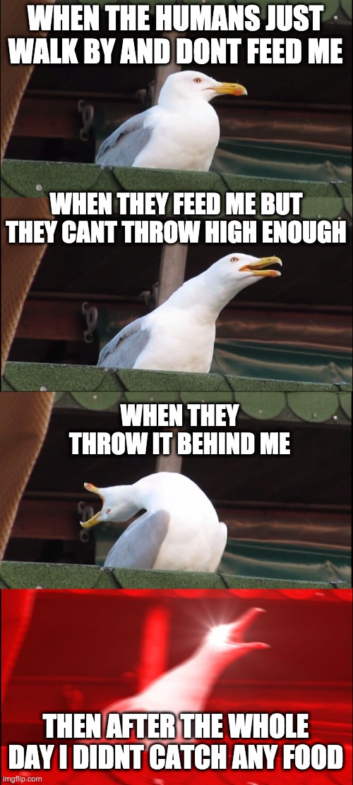 seagull | WHEN THE HUMANS JUST WALK BY AND DONT FEED ME; WHEN THEY FEED ME BUT THEY CANT THROW HIGH ENOUGH; WHEN THEY THROW IT BEHIND ME; THEN AFTER THE WHOLE DAY I DIDNT CATCH ANY FOOD | image tagged in memes,inhaling seagull | made w/ Imgflip meme maker