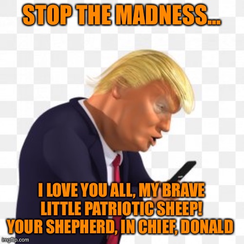 STOP THE MADNESS... I LOVE YOU ALL, MY BRAVE LITTLE PATRIOTIC SHEEP! YOUR SHEPHERD, IN CHIEF, DONALD | made w/ Imgflip meme maker