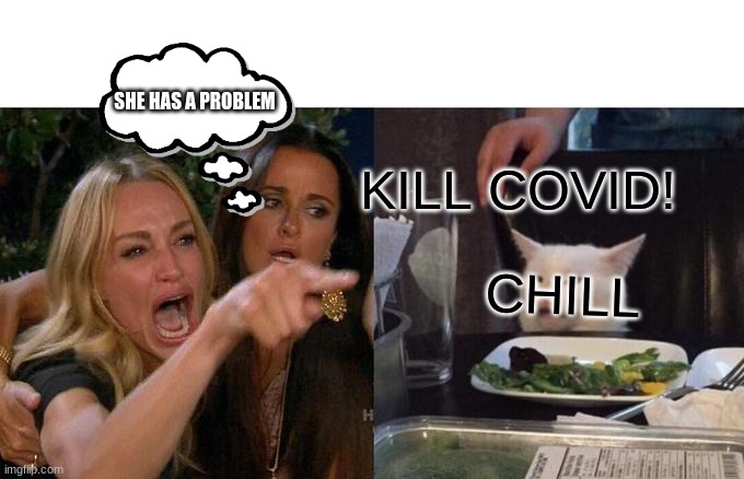 Woman Yelling At Cat | SHE HAS A PROBLEM; KILL COVID! CHILL | image tagged in memes,woman yelling at cat | made w/ Imgflip meme maker