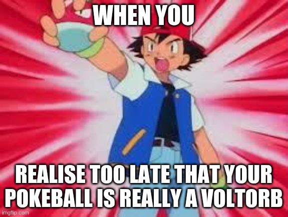 Voltorb Pokeball | WHEN YOU; REALISE TOO LATE THAT YOUR POKEBALL IS REALLY A VOLTORB | image tagged in pokemon | made w/ Imgflip meme maker