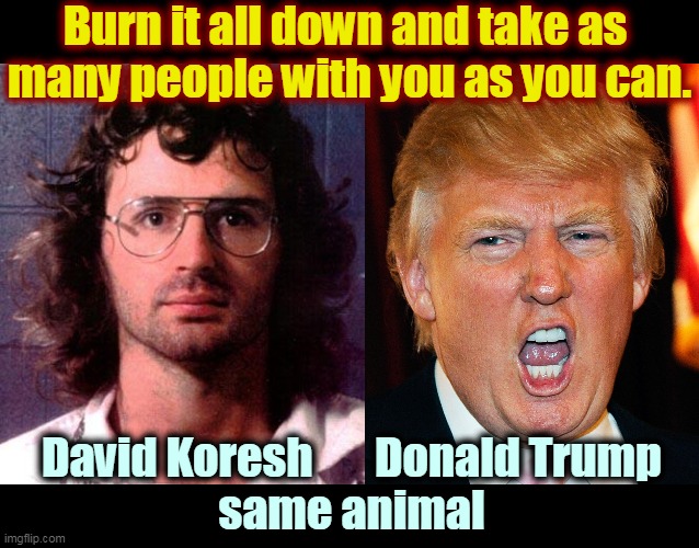 Donald Trump, Branch Davidian | Burn it all down and take as 
many people with you as you can. David Koresh       Donald Trump
same animal | image tagged in trump,arson,burn,fire,suicide | made w/ Imgflip meme maker